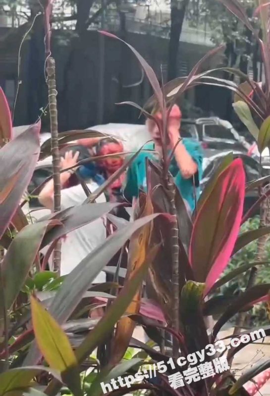广东岭南新世界 男子无差别随机砍人 血流成河后跳楼自杀 现场完整版视频曝光！-51吃瓜网