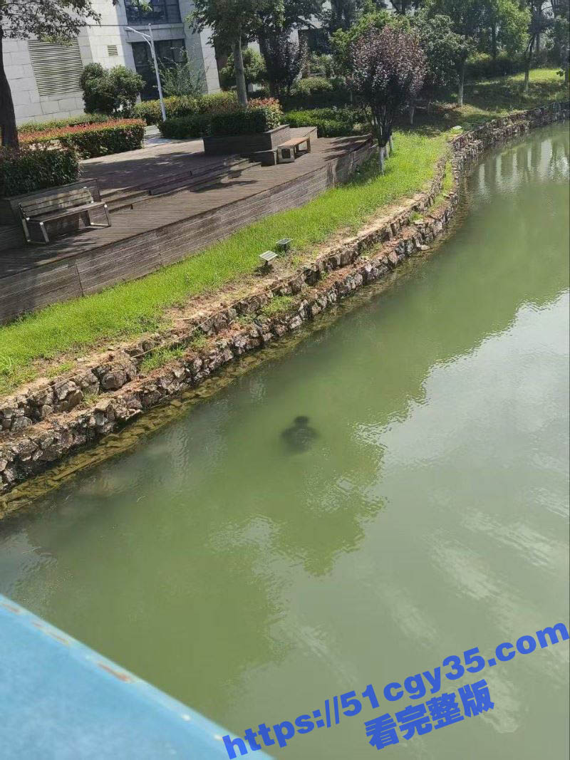 武汉中国地质大学未来城校区惊传溺水悲剧 学生尸体湖中被捞出 校方封锁现场紧急点名！ - 51吃瓜网-51吃瓜网