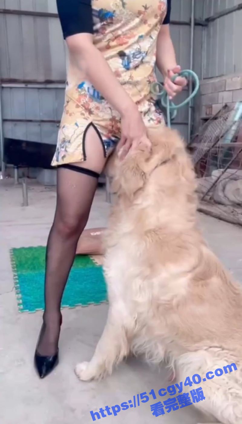 重口人兽性交调教！旗袍美女被金毛压身下猛干 黑丝撕裂无套内射 老公接力狂操！ - 51吃瓜网-51吃瓜网