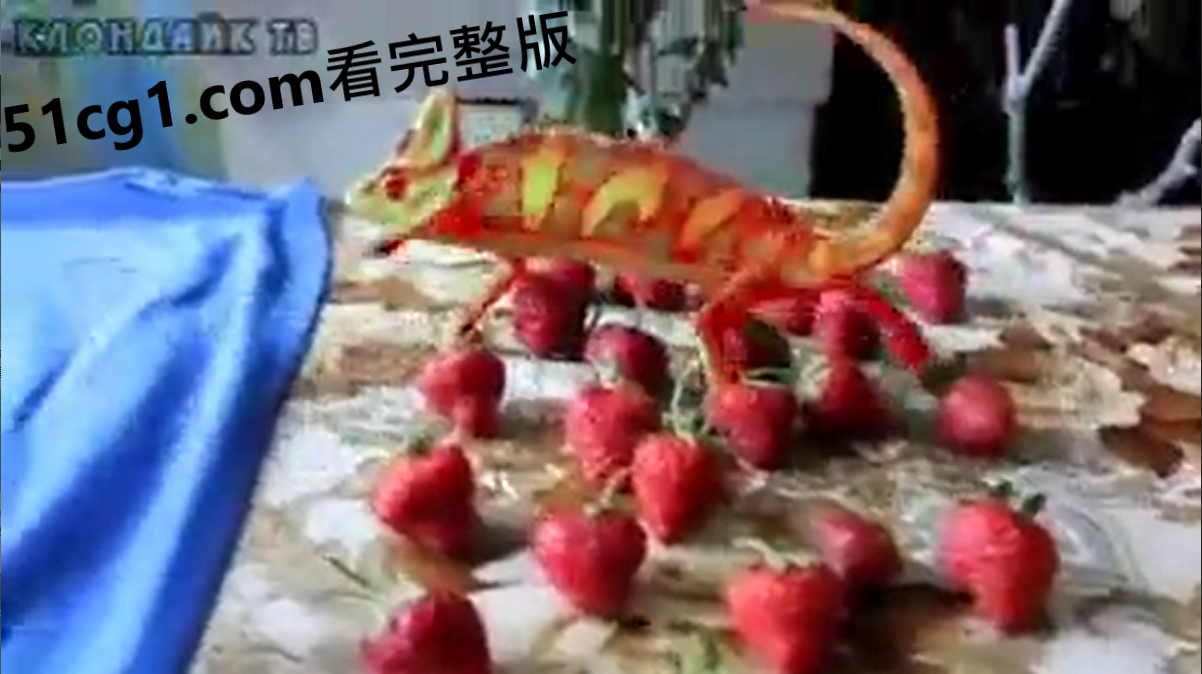 #变色龙 #奇趣生物 - 51吃瓜网-51吃瓜网