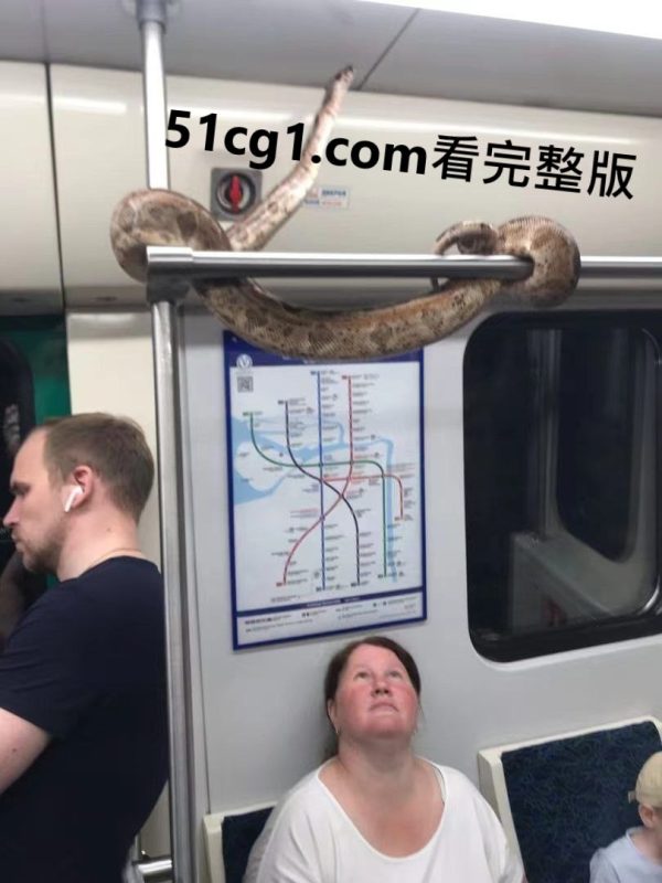 大家好镇定喔-51吃瓜网