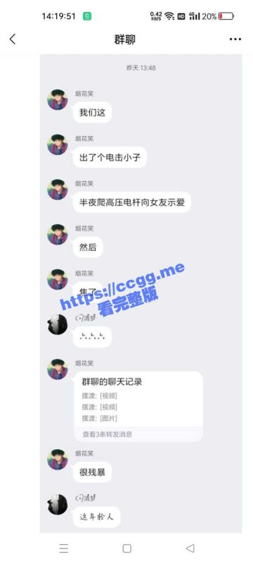 精神小伙爬高压电线杆求爱表白触电身亡！-51吃瓜网